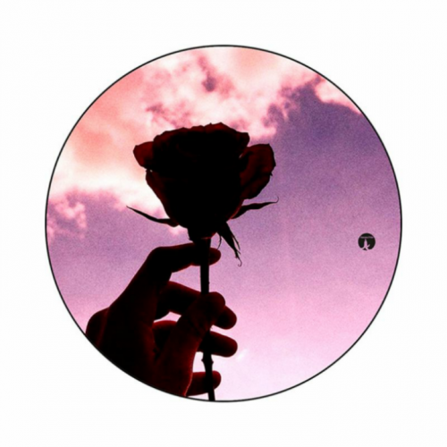 cartoona_null_null