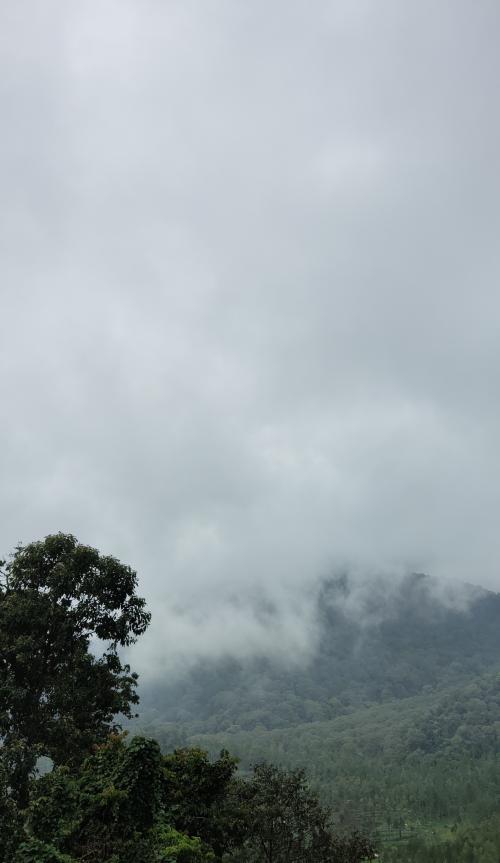 IMG_20201212_101139