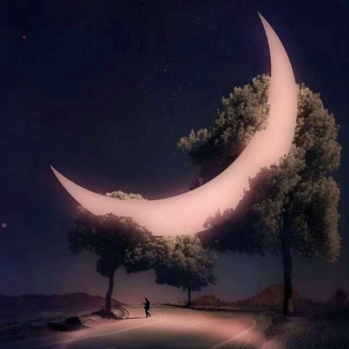 cartoona_null_null