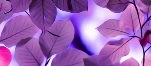 coverImage