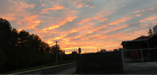 coverImage