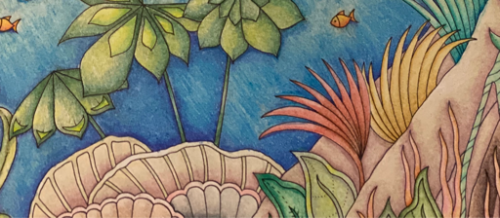 coverImage