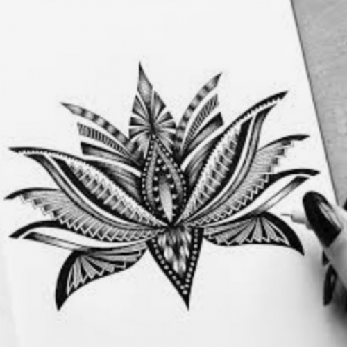 cartoona_null_null