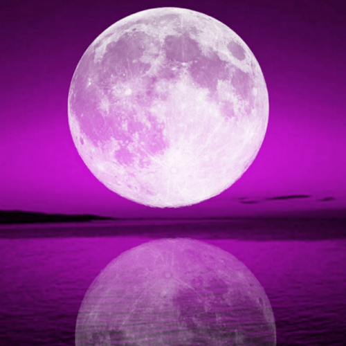 cartoona_null_null