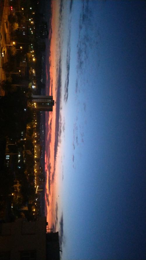IMG-20201124-WA0020