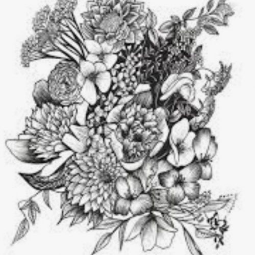 cartoona_null_null