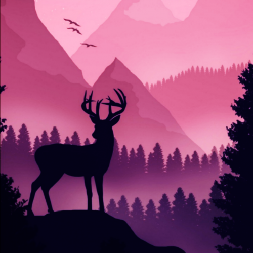 cartoona_null_null