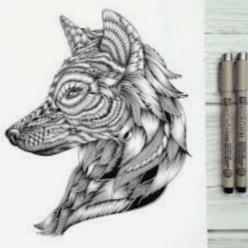 cartoona_null_null