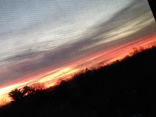 IMG_20201216_065645291