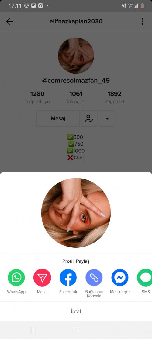 Screenshot_20201130-171102_TikTok