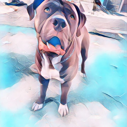 cartoona_9_13