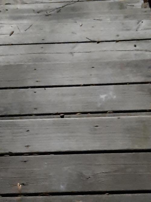 20201123_172328