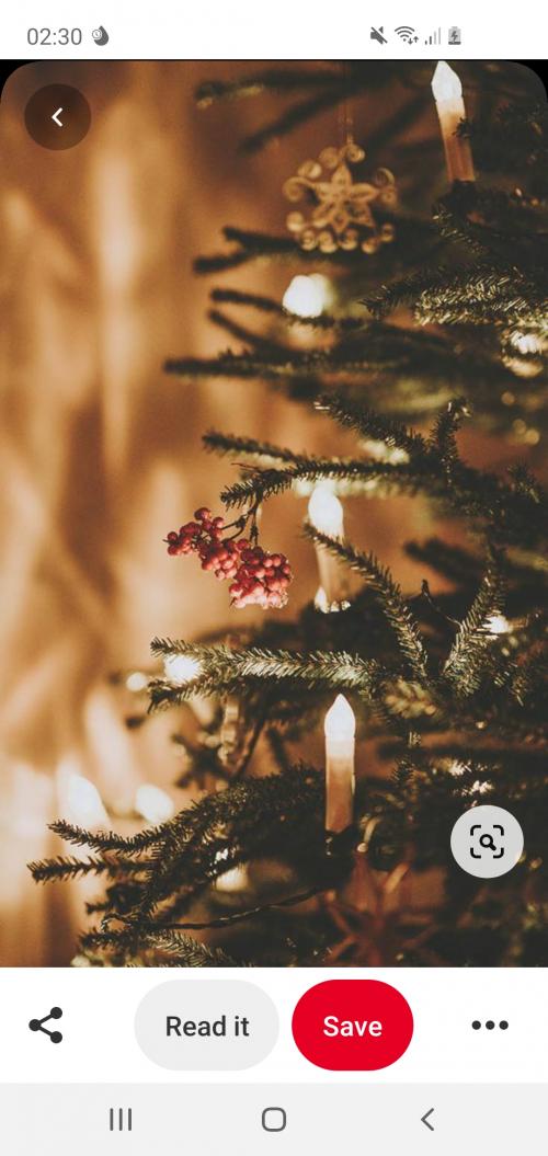 Screenshot_20201202-023001_Pinterest