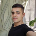 birtanemsin13