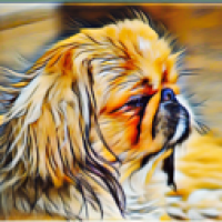 Fernando