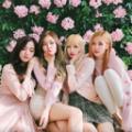 BLACKPINK KIM
