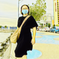 Skinsau