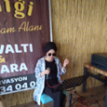 elif erol