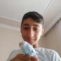 arifabatay5