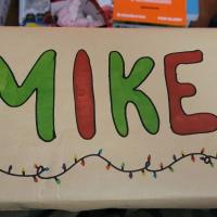 Mike Steel