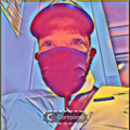 Buddo Timeless
