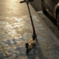 deniz debbag