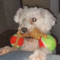 Zicario Carrasco