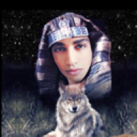 woyagerTime