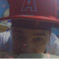 teddy
