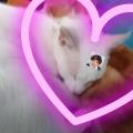edit_tiktok